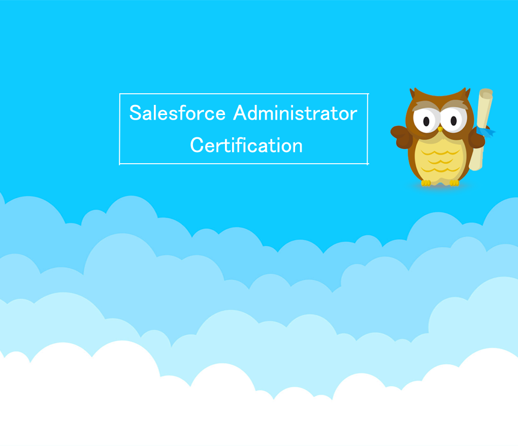 Getting certified - Salesforce Administrator Certification